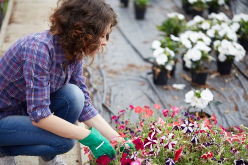 Person using a screen reader on a tablet showing garden service details