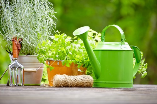 Professional landscaper working on a Camden Town property