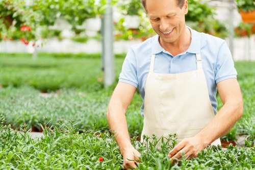 Eco-friendly lawn care practices